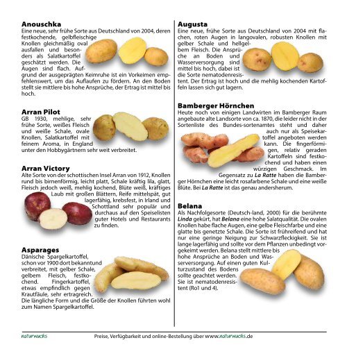 Kartoffeln 2013 - Gärtnerei Naturwuchs Online