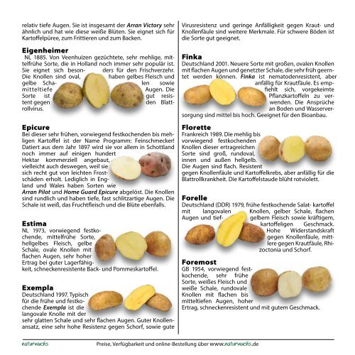 Kartoffeln 2013 - Gärtnerei Naturwuchs Online