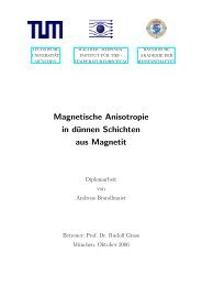 Magnetische Anisotropie in dünnen Schichten aus Magnetit
