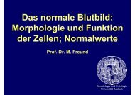 Das normale Blutbild - Hämatologie und Onkologie Rostock