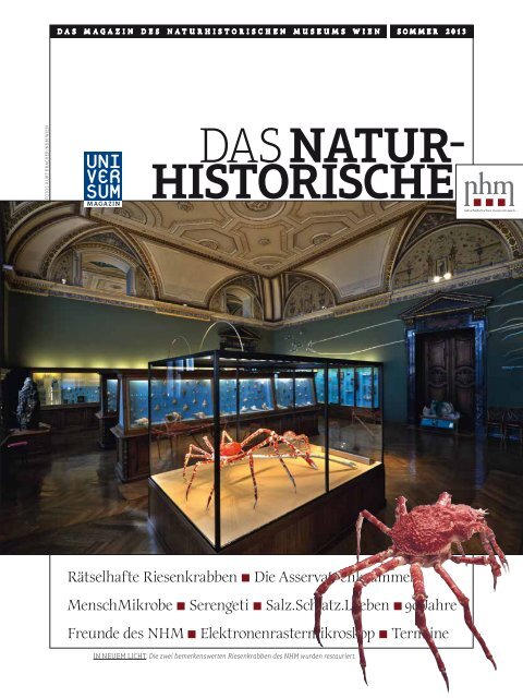 Sommer 2013 - Naturhistorisches Museum Wien