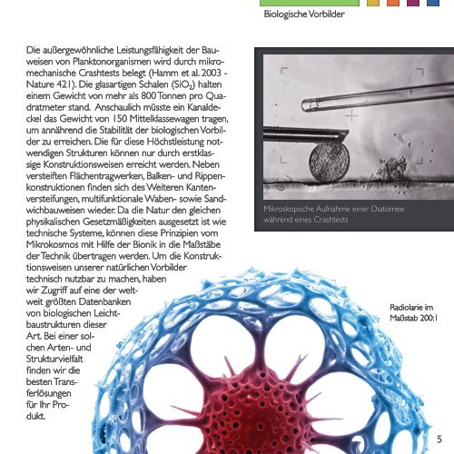 Evolutionary Light Structure Engineering - ELISE3d