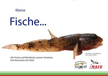 Fischarten Deutschland - Fischbroschüre