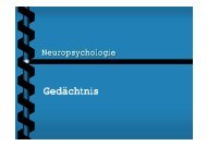 Gedaechtnis - Neuropsychologie