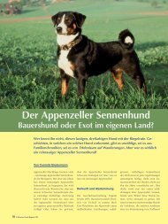 Der Appenzeller Sennenhund - Schweizer Hunde Magazin