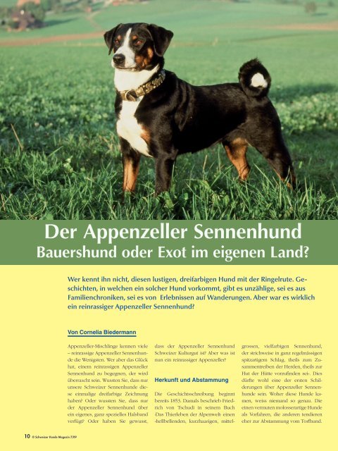 Der Appenzeller Sennenhund - Schweizer Hunde Magazin