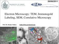 Electron Microscopy: TEM, Immunogold Labeling, SEM, Correlative ...