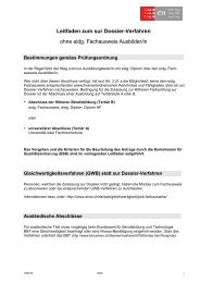 Leifaden (pdf)