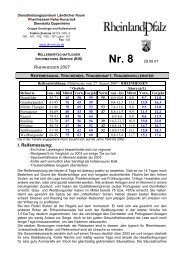 KIS 8 - DLR Rheinhessen-Nahe-Hunsrück