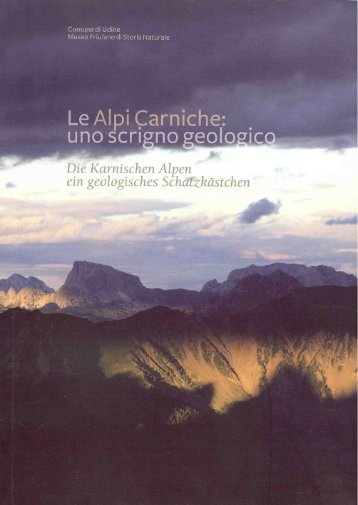Die Karnischen Alpen ein geologisches ... - Corrado Venturini