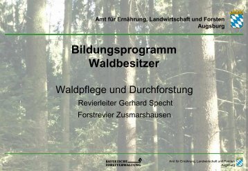 Geschichte der Holzernte - Amt für Ernährung, Landwirtschaft und ...