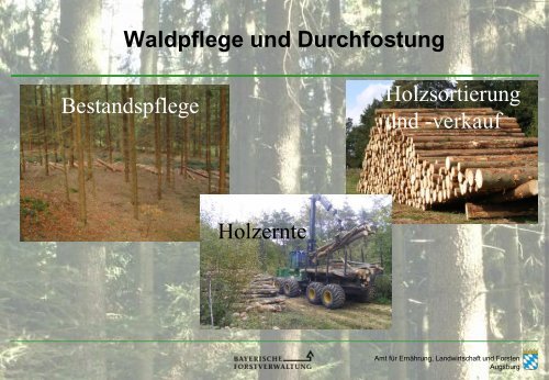 Geschichte der Holzernte - Amt für Ernährung, Landwirtschaft und ...