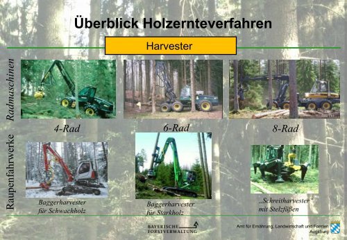 Geschichte der Holzernte - Amt für Ernährung, Landwirtschaft und ...