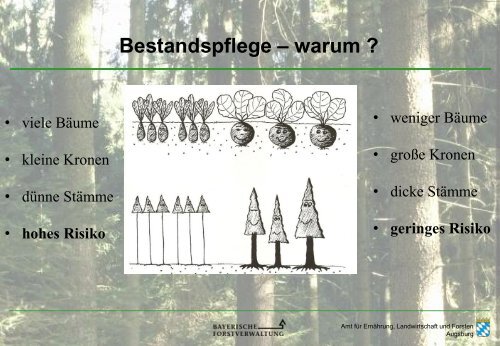 Geschichte der Holzernte - Amt für Ernährung, Landwirtschaft und ...