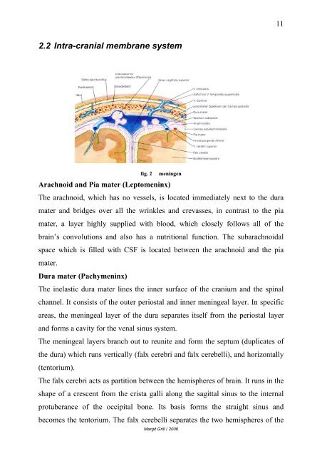 Comparison between CV4 and EV4 - Osteopathic Research