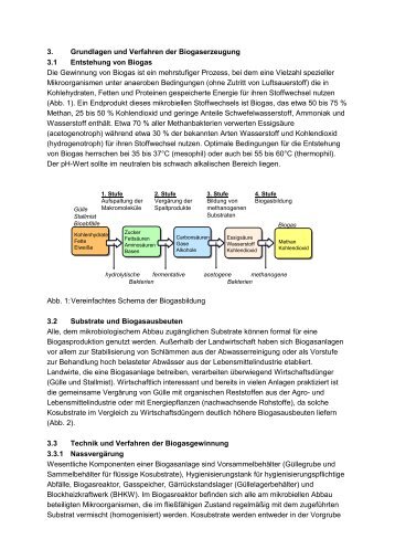 3. Grundlagen und Verfahren der Biogaserzeugung 3.1 ... - ATB