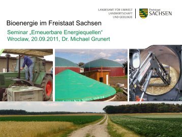 Bioenergie im Freistaat Sachsen