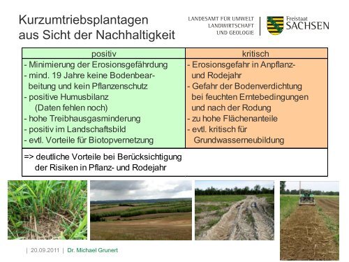 Bioenergie im Freistaat Sachsen