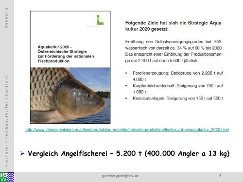 zunehmende Bedeutung für die Angelfischerei/Günther Gratzl