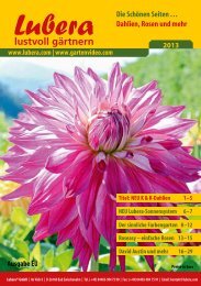 Lubera Katalog Rosen und Blütensträucher 2013