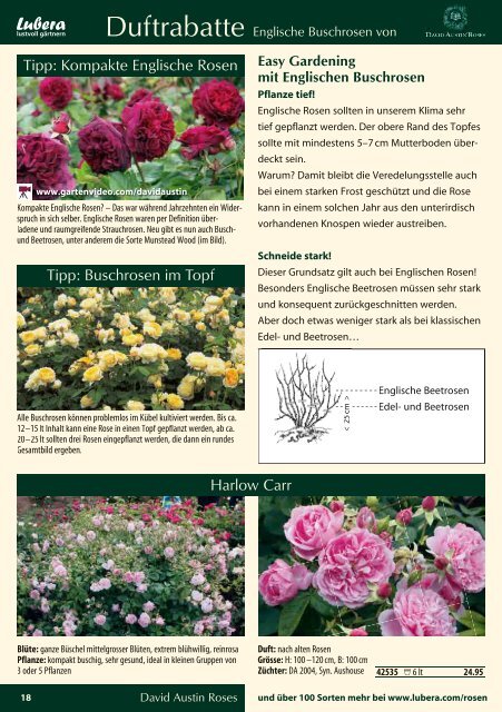 Lubera Katalog Rosen und Blütensträucher 2013