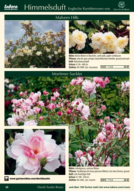 Lubera Katalog Rosen und Blütensträucher 2013