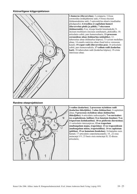 Projektsiooniline anatoomia Sisukord