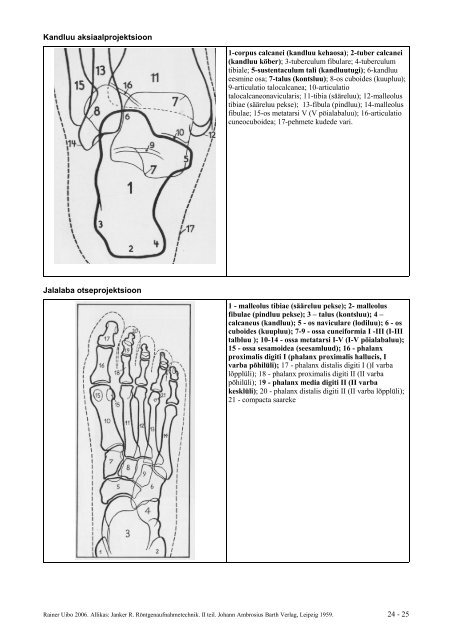 Projektsiooniline anatoomia Sisukord