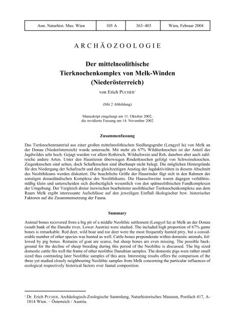 Niederosterreich Naturhistorisches Museum Wien