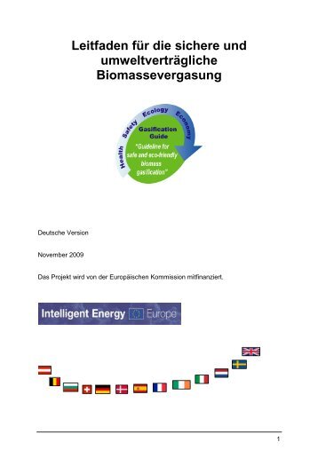 Leitfaden für die sichere und umweltverträgliche ... - Gasification guide