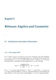 Kapitel 5 Bilineare Algebra und Geometrie