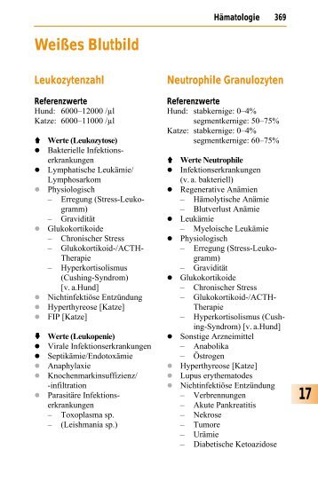 17 Weißes Blutbild - Schattauer