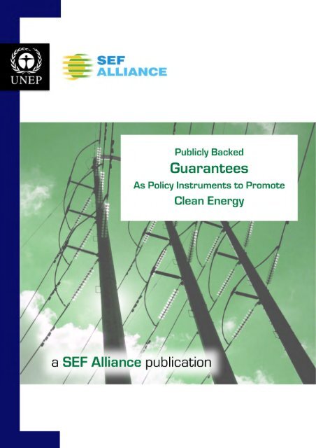 Publicly Backed Guarantees as Policy Instruments to ... - SEF Alliance