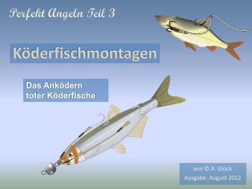 Köderfischmontagen - Unsere Elbe