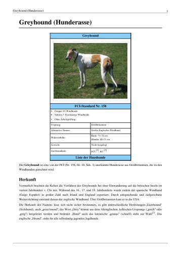 Greyhound (Hunderasse) - Hundehilfe Nordbalaton e.V.