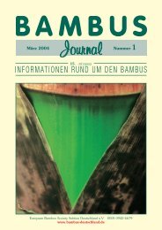 informationen rund um den bambus - Forum der European Bamboo ...