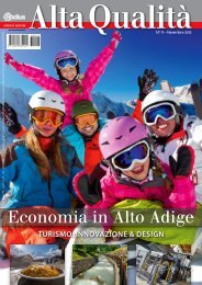 Radius 11/2013 Economia in Alto Adige