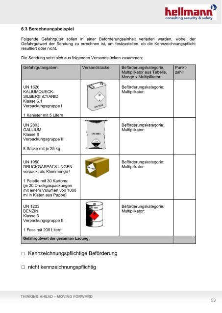 Gefahrgut Informationsmappe ADR/GGVSEB - Hellmann Worldwide ...