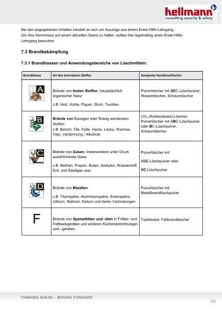 Gefahrgut Informationsmappe ADR/GGVSEB - Hellmann Worldwide ...