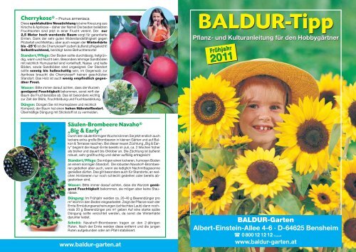 Baldur Garten Bensheim
