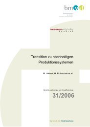 Transition zu nachhaltigen Produktionssystemen - Fabrik der Zukunft