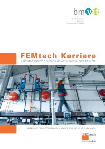 FEMtech Karriere - PROFACTOR GmbH