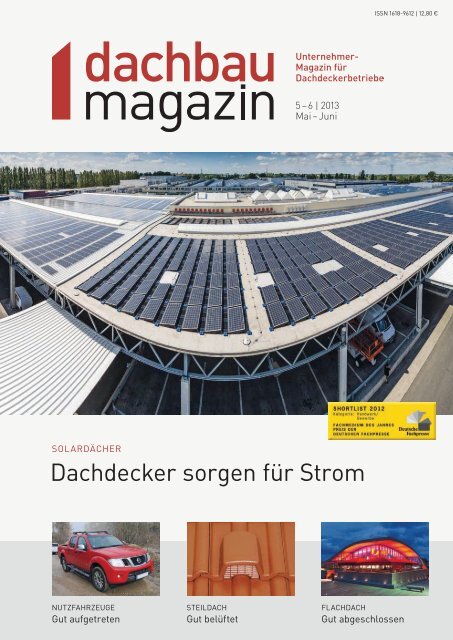 dachdecker sorgen für Strom - Dachbaumagazin