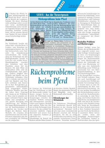 Rückenprobleme beim Pferd