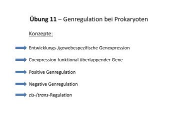 Genregulation bei Prokaryoten Übung 11 ... - OpenWetWare