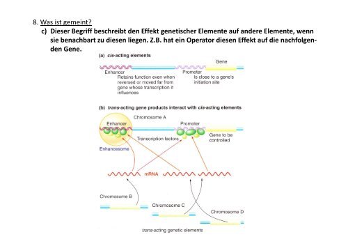 Genregulation bei Prokaryoten Übung 11 ... - OpenWetWare