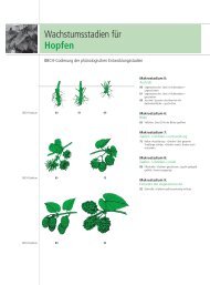 Pflanzenschutz Hopfen - Beiselen