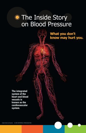 The Inside Story on Blood Pressure - International Association of ...