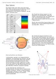 Das Sehen - campusphere