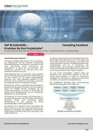 Consulting Factsheet SAP BI-Review - Scheer Management